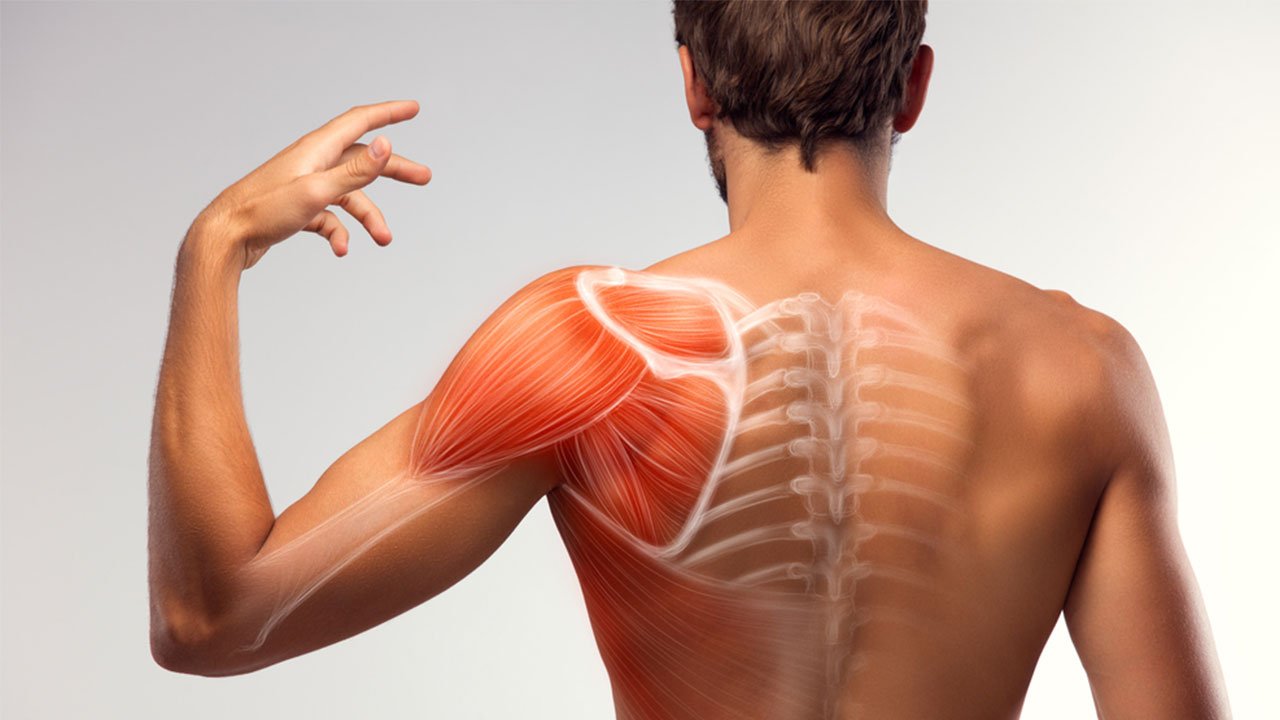 Shoulder-Blade-Pain-And-Its-Treatments