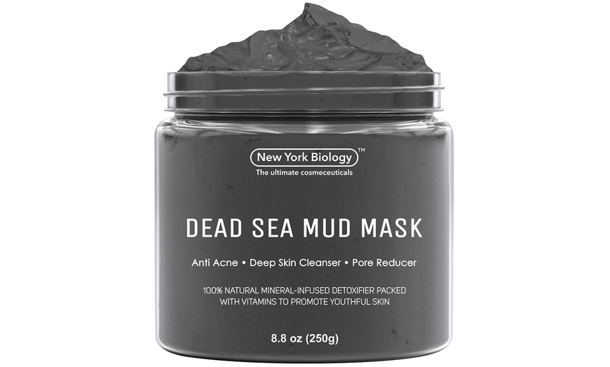 New York Biology Dead Sea Mud Mask