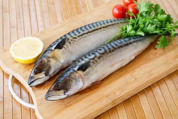 Cold Water Fish Cold Water Fish