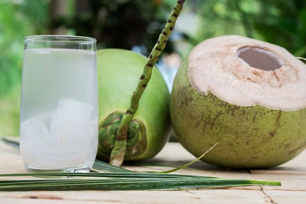 Coconut Water Relieving For Summer Days