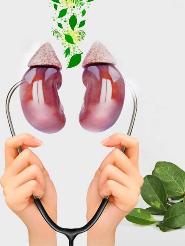 Ayurvedic Method For Kidney Health